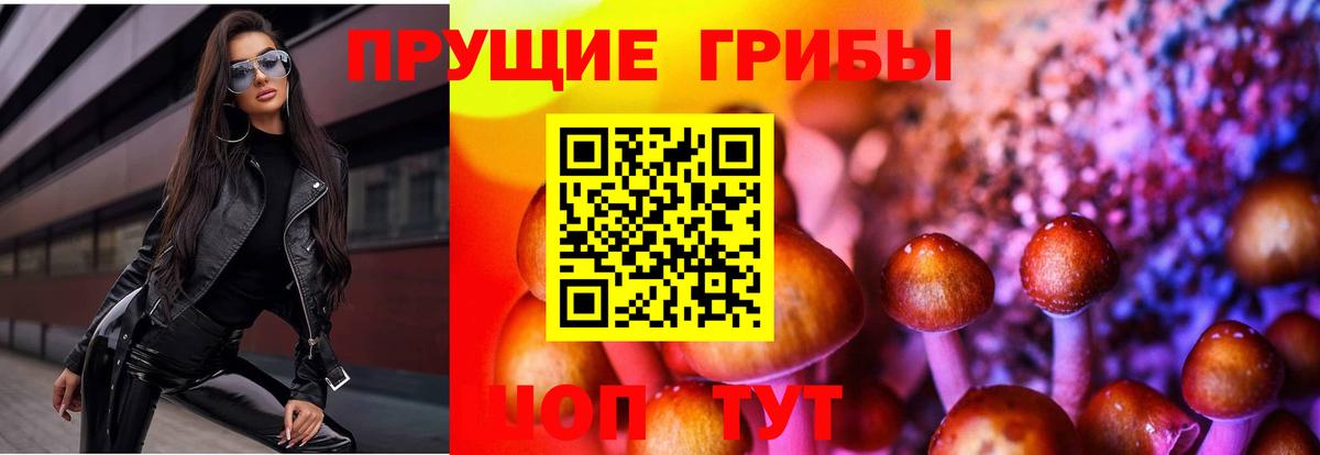 наркотики  Вход с VPN  Минеральные Воды  Галлюциногенные грибы GOLDEN TEACHER 